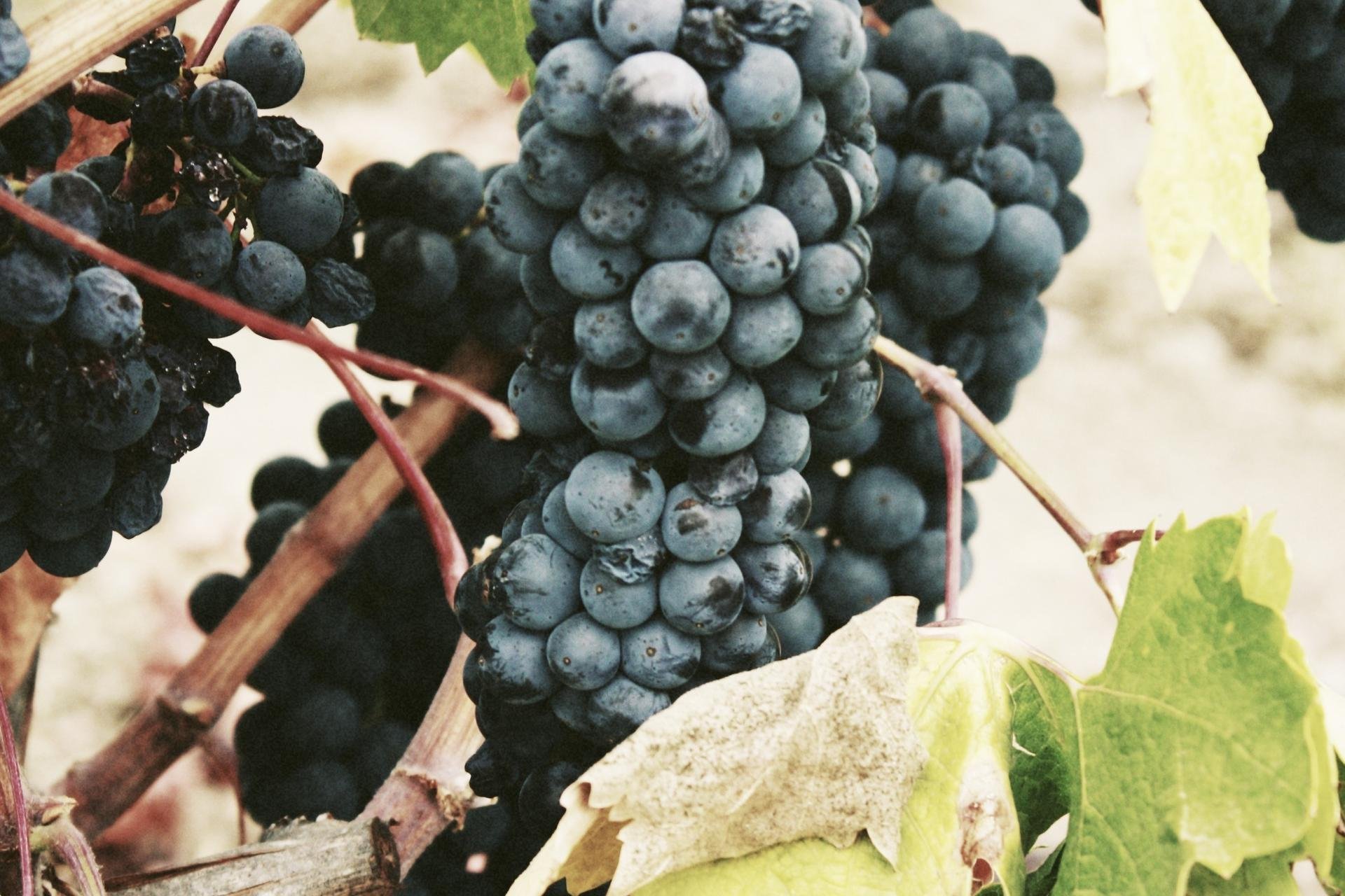 Lorem ipsum dolor sit amet, consectetur adipiscing elit. Sic, et quidem